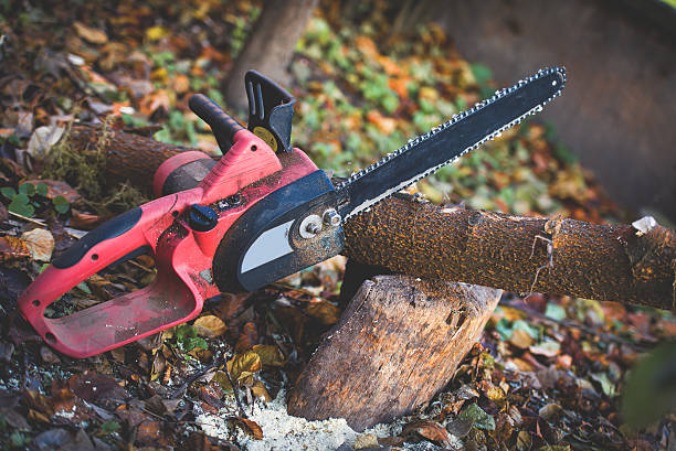 Best Lawn Maintenance Plans  in Kittredge, CO